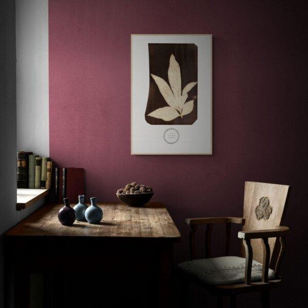 William Henry Fox Talbot - Foglia di Peonia, Vintage Photos, Smooth Matte Art Print