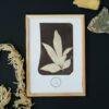 William Henry Fox Talbot - Foglia di Peonia, Vintage Photos, Smooth Matte Art Print