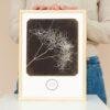 William Henry Fox Talbot - Wild Fennel, Vintage Photos, Smooth Matte Art Print