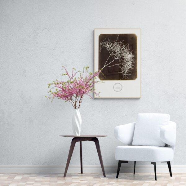 William Henry Fox Talbot - Wild Fennel, Vintage Photos, Smooth Matte Art Print