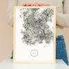 William Henry Fox Talbot - Dandelion Seeds, Vintage Photos, Smooth Matte Art Print