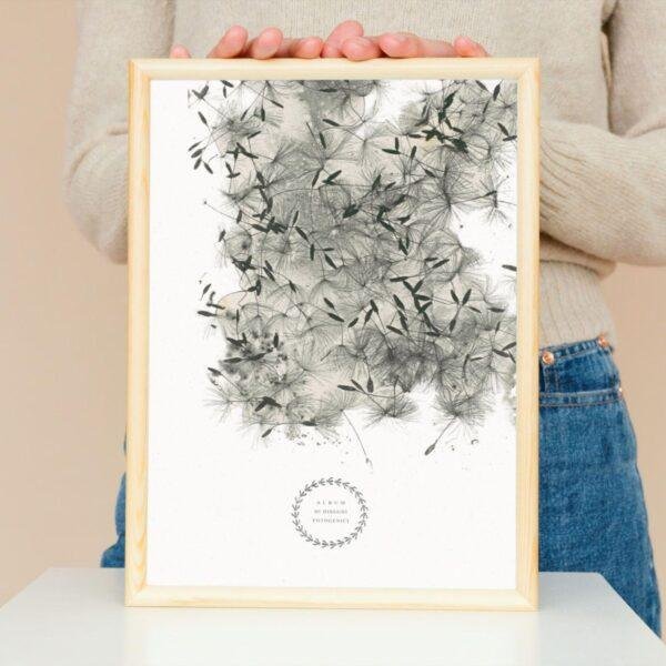 William Henry Fox Talbot - Dandelion Seeds, Vintage Photos, Smooth Matte Art Print