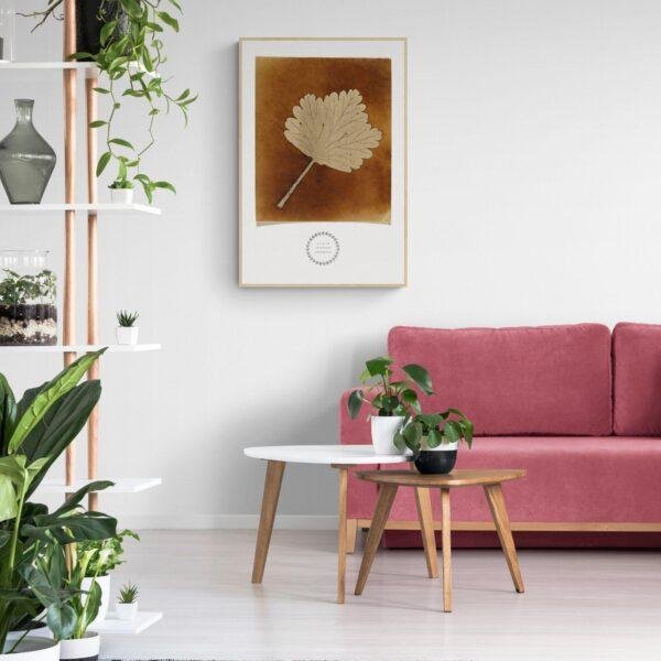 William Henry Fox Talbot - Leaf, Vintage Photos, Smooth Matte Art Print