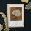 William Henry Fox Talbot - Leaf, Vintage Photos, Smooth Matte Art Print