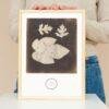 William Henry Fox Talbot - Foglia di Fico, Vintage Photos, Smooth Matte Art Print