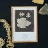 William Henry Fox Talbot - Foglia di Fico, Vintage Photos, Smooth Matte Art Print