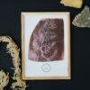 William Henry Fox Talbot - Wrack, Vintage Photos, Smooth Matte Art Print
