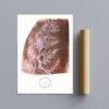 William Henry Fox Talbot - Wrack, Vintage Photos, Smooth Matte Art Print