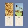 Palestine Calendar – Middle Eastern Art, Free Palestinians, Semi-Glossy Paper