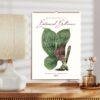 Nature Calendar – Edward Lowe, British Botanist, Herbarium Art, Semi-Gloss Paper