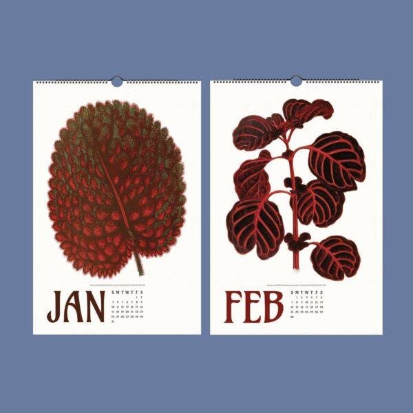 Nature Calendar – Edward Lowe, British Botanist, Herbarium Art, Semi-Gloss Paper