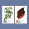 Nature Calendar – Edward Lowe, British Botanist, Herbarium Art, Semi-Gloss Paper