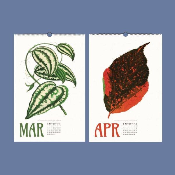Nature Calendar – Edward Lowe, British Botanist, Herbarium Art, Semi-Gloss Paper