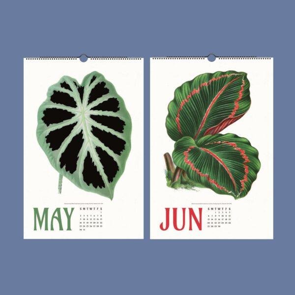 Nature Calendar – Edward Lowe, British Botanist, Herbarium Art, Semi-Gloss Paper