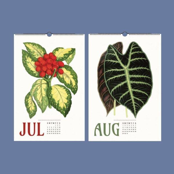 Nature Calendar – Edward Lowe, British Botanist, Herbarium Art, Semi-Gloss Paper