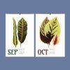 Nature Calendar – Edward Lowe, British Botanist, Herbarium Art, Semi-Gloss Paper