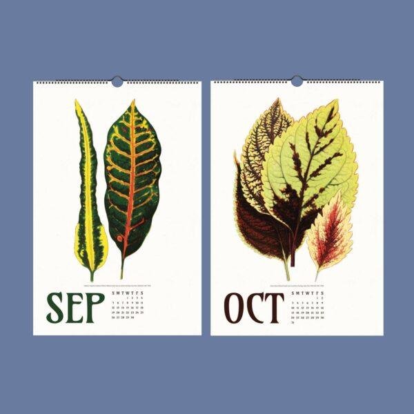 Nature Calendar – Edward Lowe, British Botanist, Herbarium Art, Semi-Gloss Paper