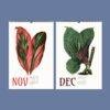 Nature Calendar – Edward Lowe, British Botanist, Herbarium Art, Semi-Gloss Paper