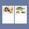 Marine Calendar – Louis Renard’s Fanciful Fish & Sea Creatures, Semi-Glossy Paper