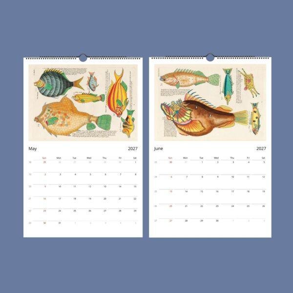 Marine Calendar – Louis Renard’s Fanciful Fish & Sea Creatures, Semi-Glossy Paper