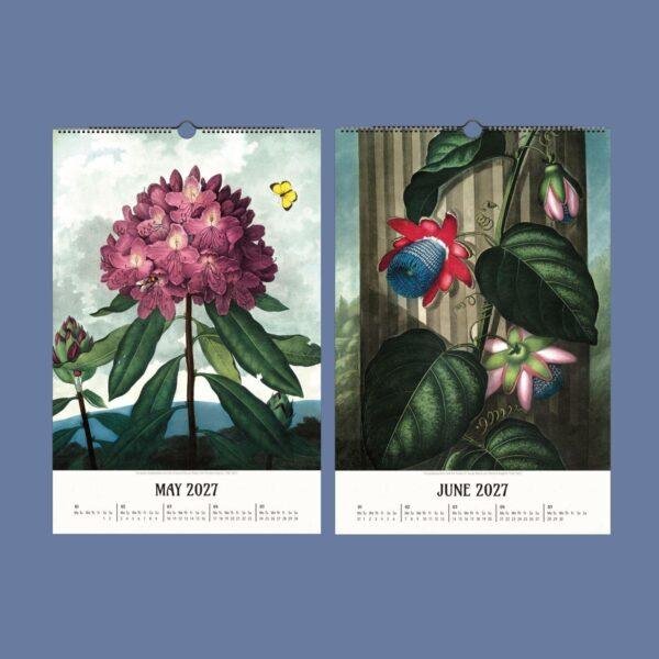 The Temple of Flora Botanical Calendar – English Artist, Robert John Thornton, Semi-Glossy Paper