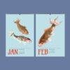 Chinese Goldfish Wall Calendar