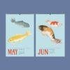 Chinese Goldfish Wall Calendar