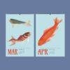 Chinese Goldfish Wall Calendar