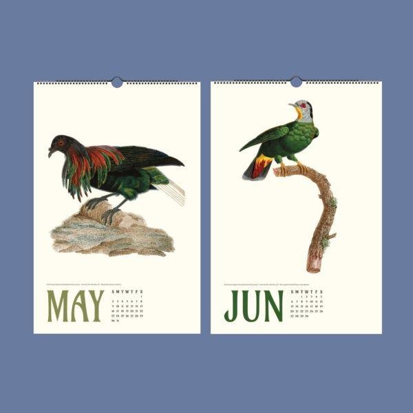 Vintage Pigeon Calendar – Women Artists, Bird Lover Gift, Semi-Glossy Paper