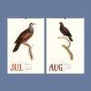 Vintage Pigeon Calendar – Women Artists, Bird Lover Gift, Semi-Glossy Paper