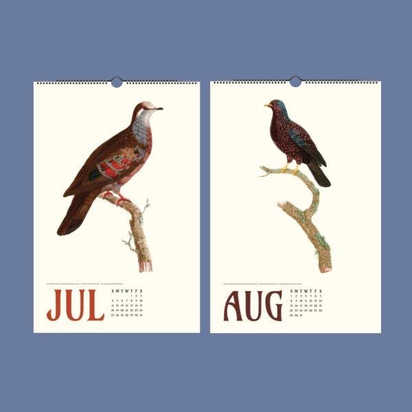 Vintage Pigeon Calendar – Women Artists, Bird Lover Gift, Semi-Glossy Paper