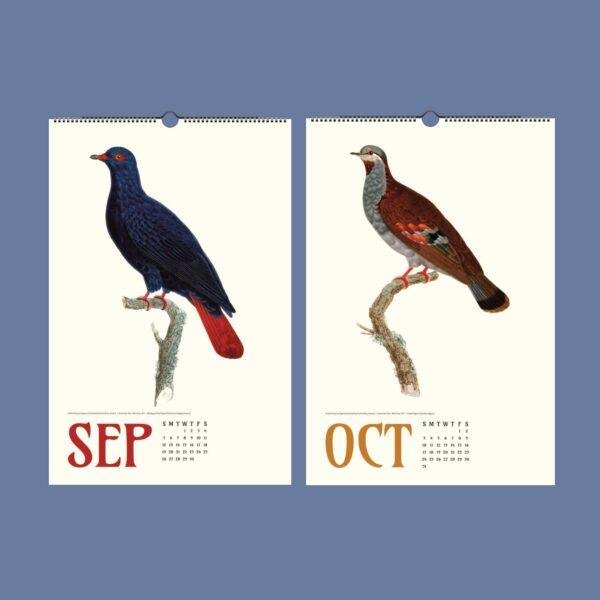 Vintage Pigeon Calendar – Women Artists, Bird Lover Gift, Semi-Glossy Paper