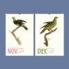 Vintage Pigeon Calendar – Women Artists, Bird Lover Gift, Semi-Glossy Paper