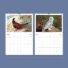 Birds of Britain Wall Calendar - Archibald Thorburn, Scottish Wildlife Artist, Semi-Glossy Paper