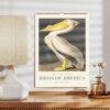 John James Audubon Bird Calendar