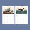 John James Audubon Bird Calendar