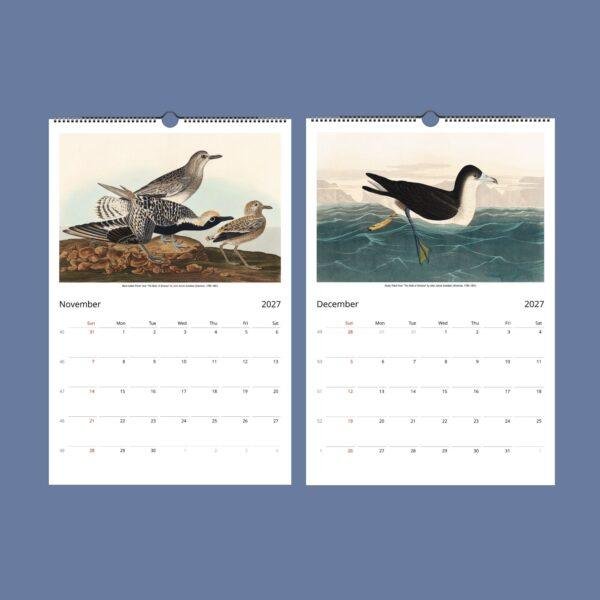 John James Audubon Bird Calendar