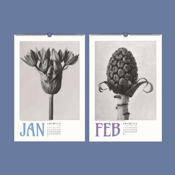 Karl Blossfeldt Wall Calendar – Art Forms in Nature, Botanical Print, Semi-Glossy Paper