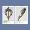 Karl Blossfeldt Wall Calendar – Art Forms in Nature, Botanical Print, Semi-Glossy Paper