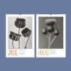 Karl Blossfeldt Wall Calendar – Art Forms in Nature, Botanical Print, Semi-Glossy Paper