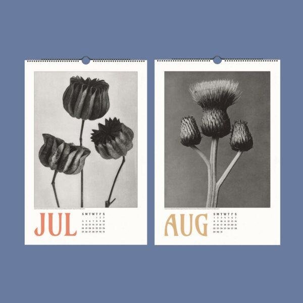 Karl Blossfeldt Wall Calendar – Art Forms in Nature, Botanical Print, Semi-Glossy Paper