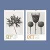 Karl Blossfeldt Wall Calendar – Art Forms in Nature, Botanical Print, Semi-Glossy Paper