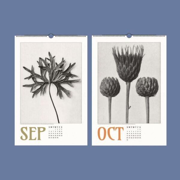 Karl Blossfeldt Wall Calendar – Art Forms in Nature, Botanical Print, Semi-Glossy Paper