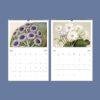 Sarah Featon Wall Calendar – Botanical Artist, New Zealand Flora, Maori Culture, Semi-Glossy Paper