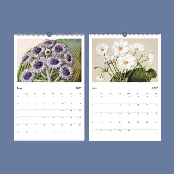 Sarah Featon Wall Calendar – Botanical Artist, New Zealand Flora, Maori Culture, Semi-Glossy Paper
