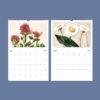 Sarah Featon Wall Calendar – Botanical Artist, New Zealand Flora, Maori Culture, Semi-Glossy Paper