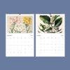 Sarah Featon Wall Calendar – Botanical Artist, New Zealand Flora, Maori Culture, Semi-Glossy Paper