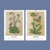 Renaissance Art Calendar – Claude de France, French Artist, Botanical Artwork, Semi-Glossy Paper