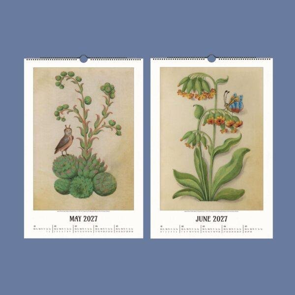 Renaissance Art Calendar – Claude de France, French Artist, Botanical Artwork, Semi-Glossy Paper