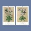 Renaissance Art Calendar – Claude de France, French Artist, Botanical Artwork, Semi-Glossy Paper